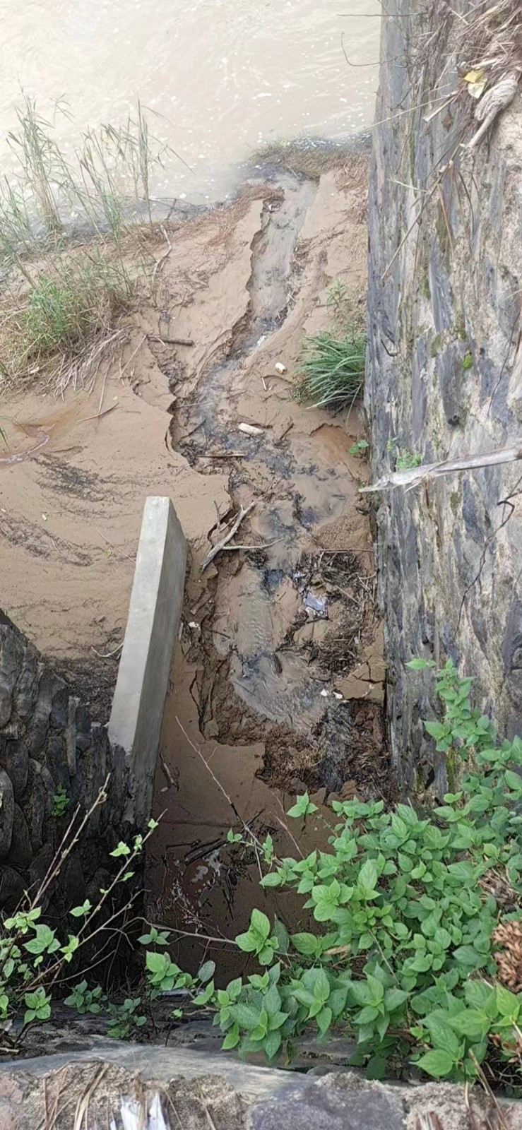 165958122810061.jpg 165958122810061.jpg