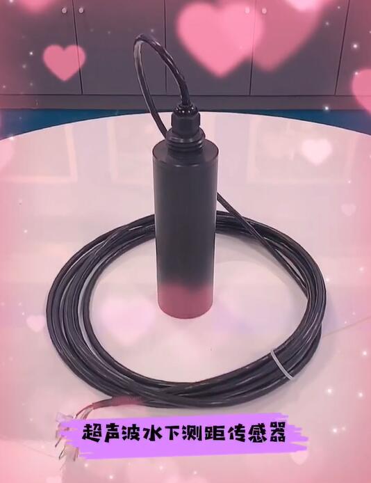 162201678920648.jpg 超聲波水下測(cè)距傳感器.jpg