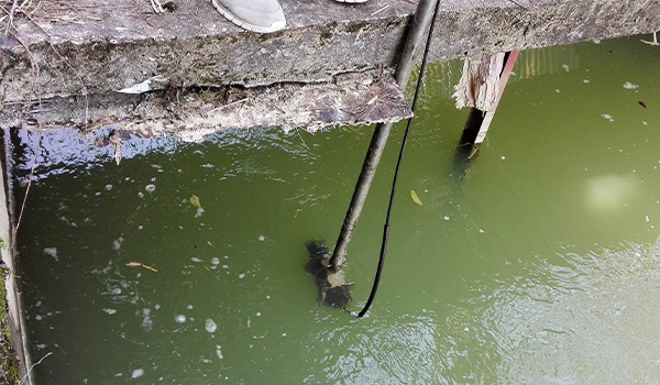 超聲波多普勒流量計(jì) 超聲波多普勒流量計(jì)