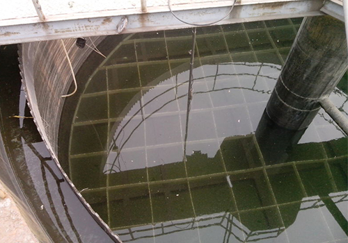 超聲波泥位計(jì)